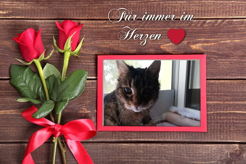 Andachtsbild von Sternchenpost ⭐️ 