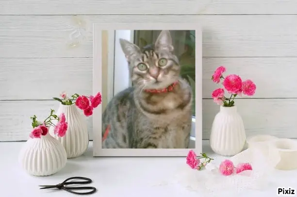 Andachtsbild von Tanja mit Timmy im Herzen 