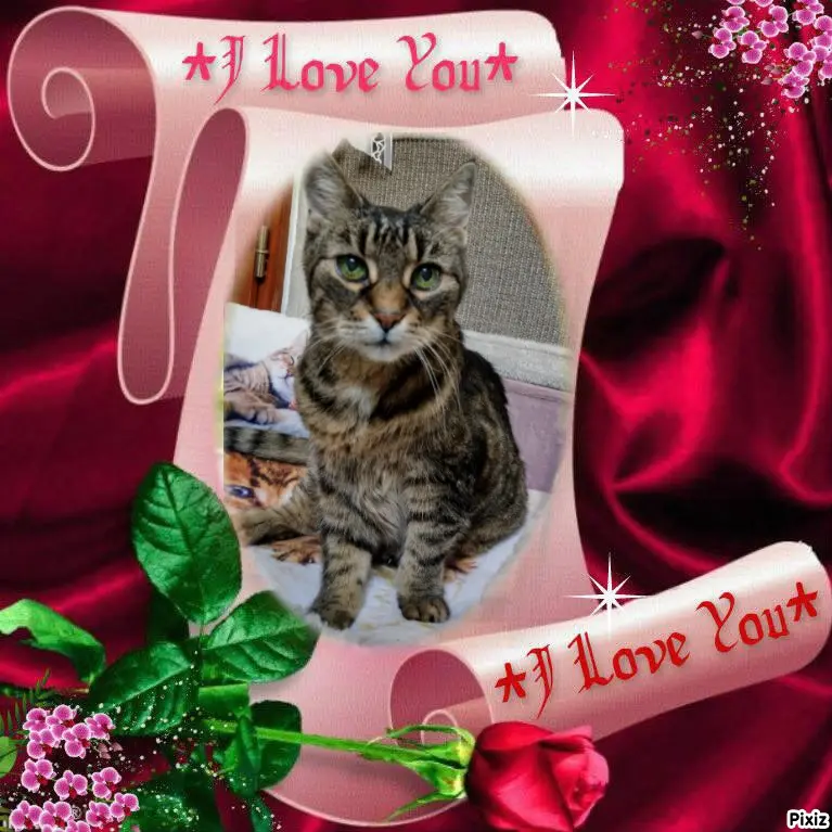 Andachtsbild von Für meinen allerliebsten kleinen Schatz ♥️