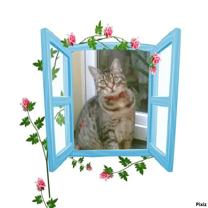 Andachtsbild von Tanja mit Timmy im Herzen