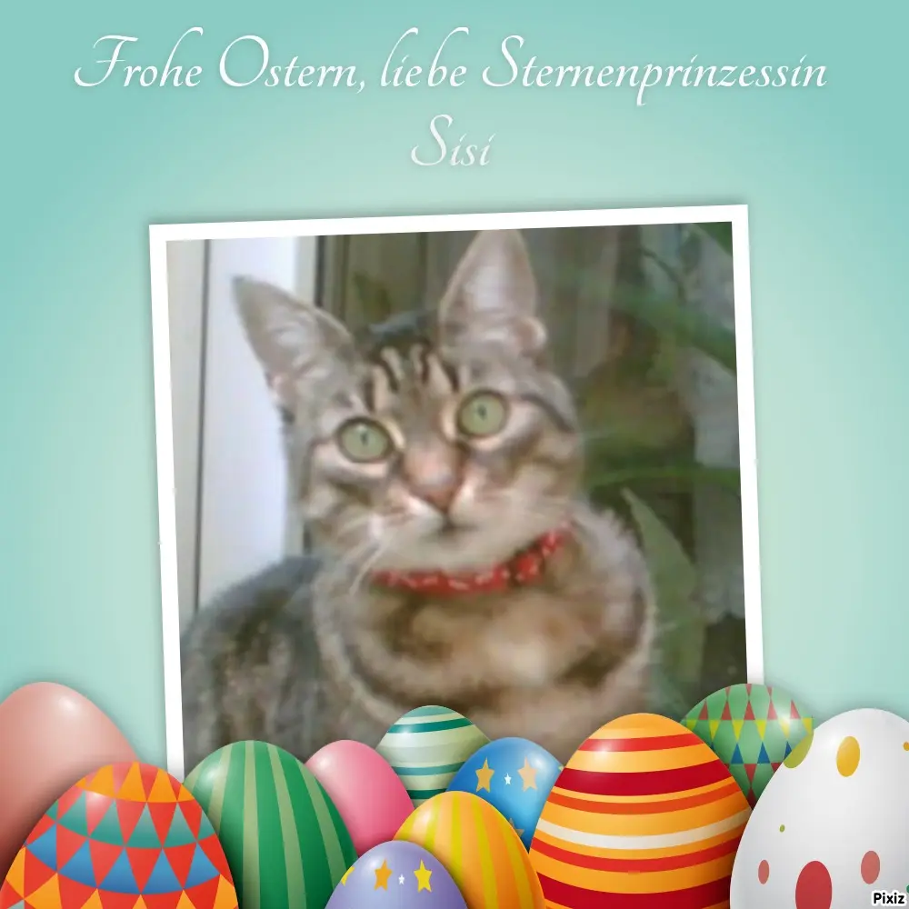 Andachtsbild von Tanja mit Timmy im Herzen 