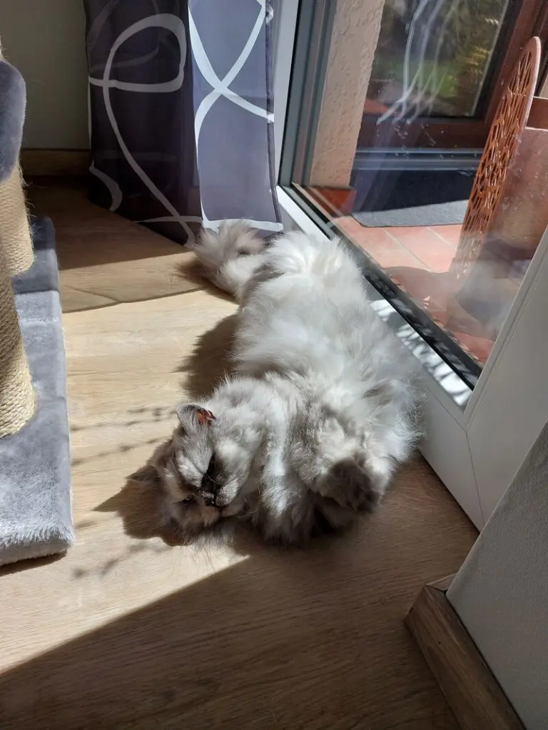 Andachtsbild von Daniela mit Pauline im ♥️ (+27.05.2021)