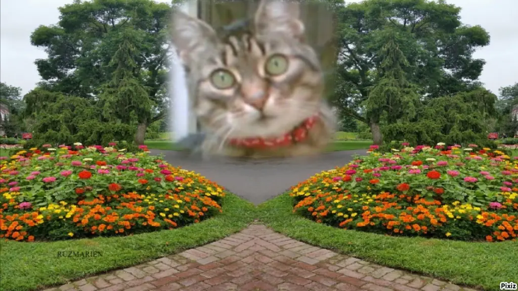 Andachtsbild von Tanja mit Timmy im Herzen