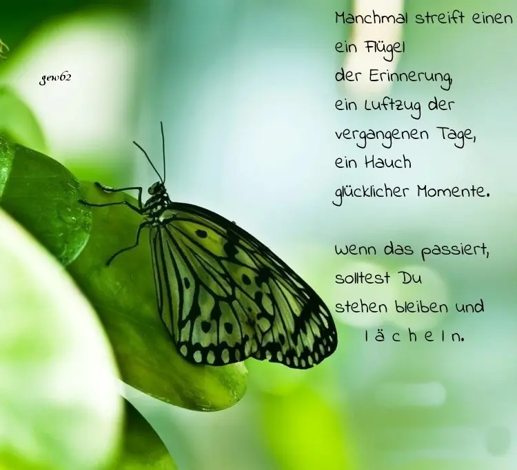 Andachtsbild von Marple