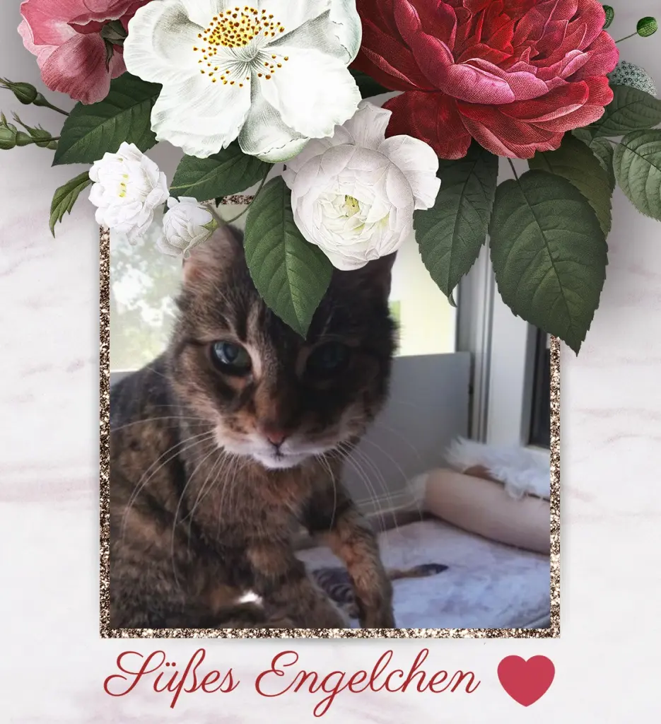 Andachtsbild von Sternchenpost ⭐