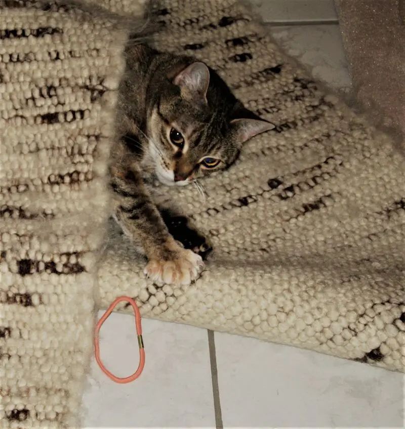 Andachtsbild von Elisabeth mit Marple im ♥