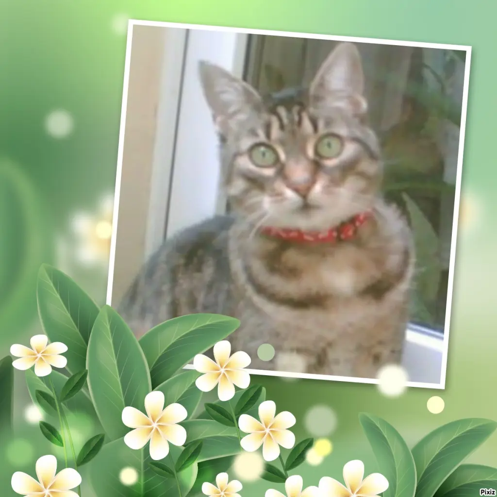 Andachtsbild von Tanja mit Timmy im Herzen 