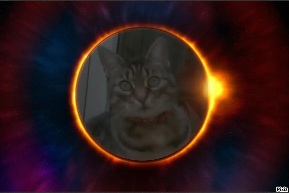 Andachtsbild von Tanja mit Timmy im Herzen 