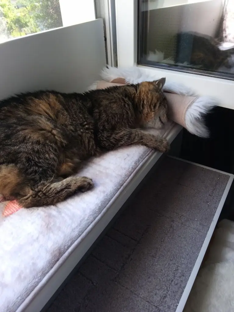 Andachtsbild von Für meinen kleinen Sonnenschein ❤️