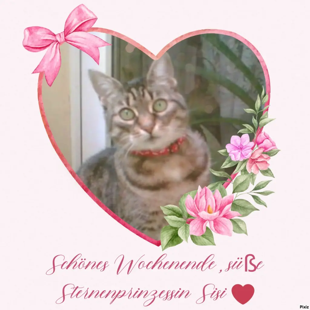 Andachtsbild von Tanja mit Timmy im Herzen 