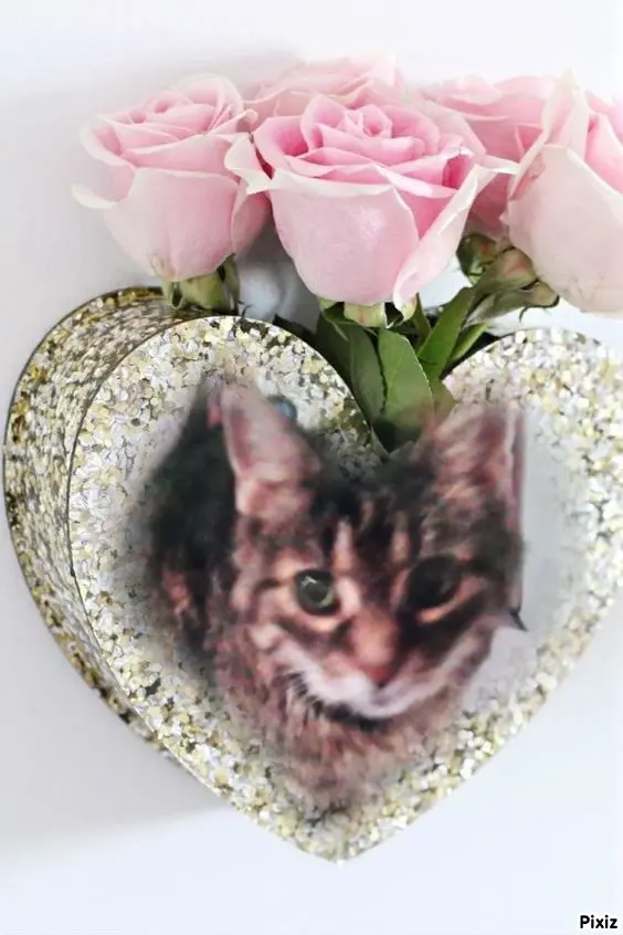 Andachtsbild von Für mein geliebtes kleines Puppikind ♥️