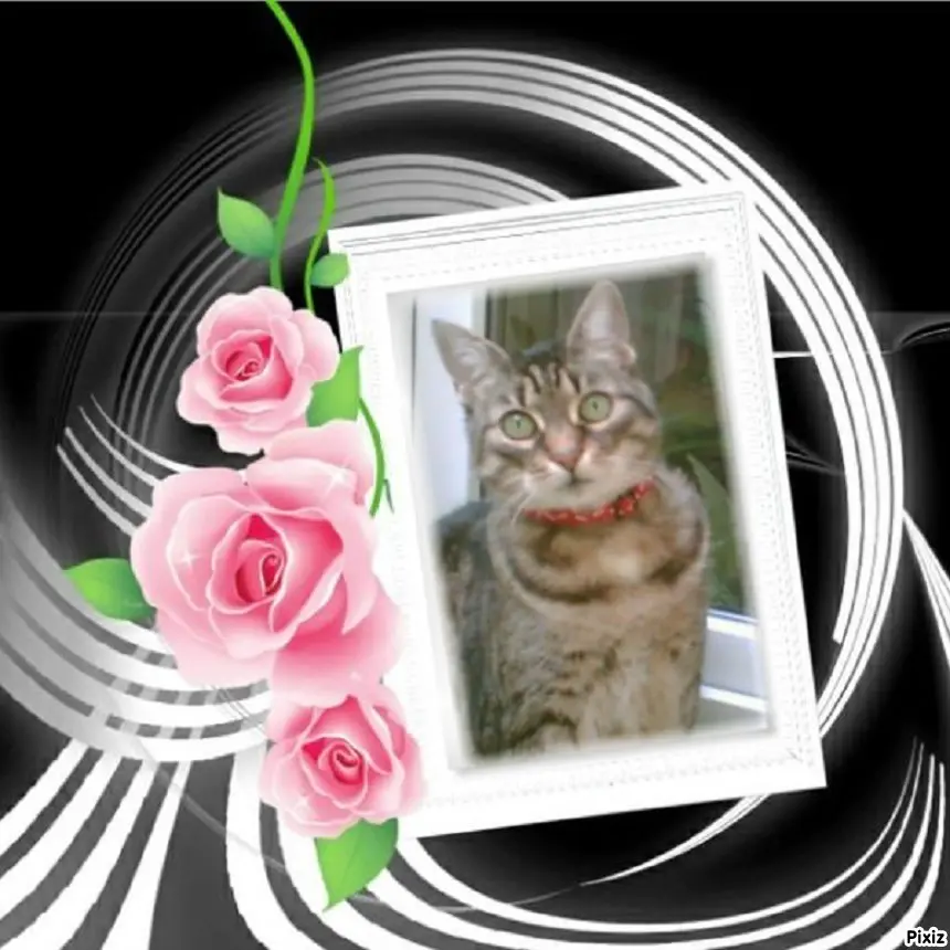 Andachtsbild von Tanja mit Timmy im Herzen 