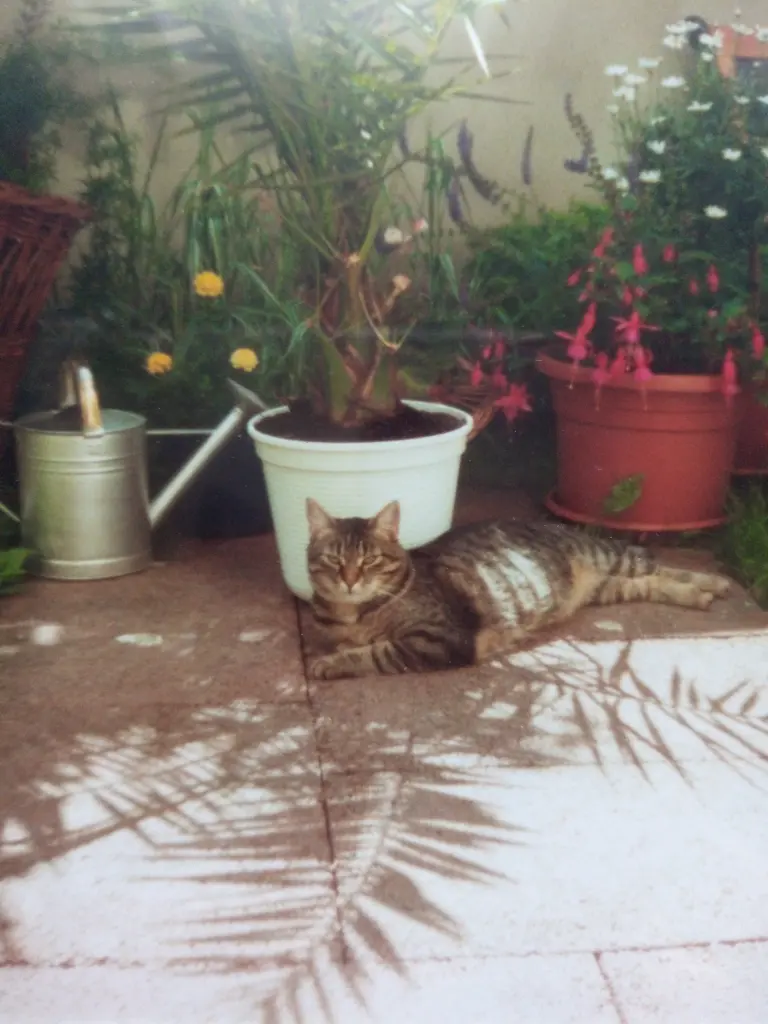 Andachtsbild von Für mein kleines Sonnele ❤️