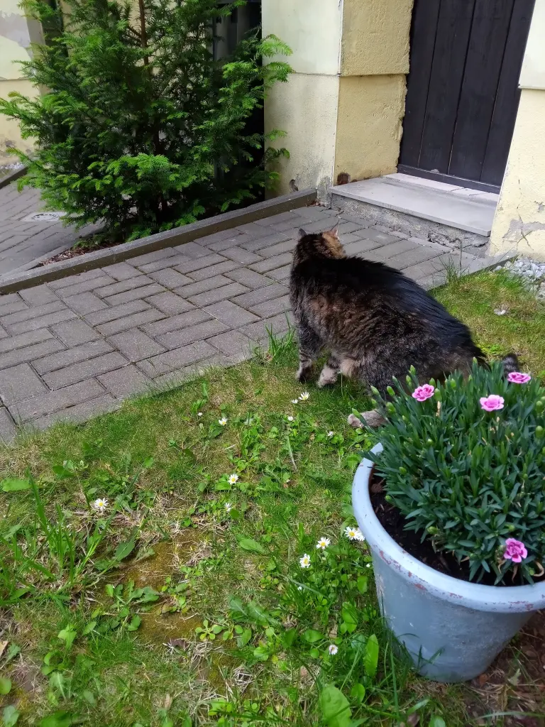 Andachtsbild von Für mein kleines Sonnele ❤️