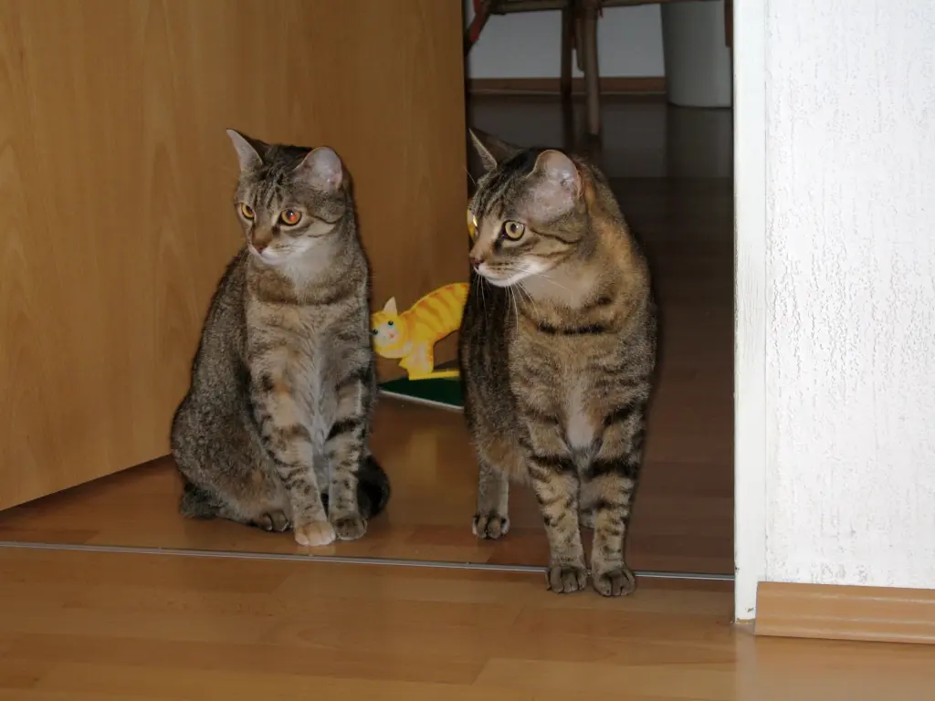 Andachtsbild von Marple mit Elisabeth