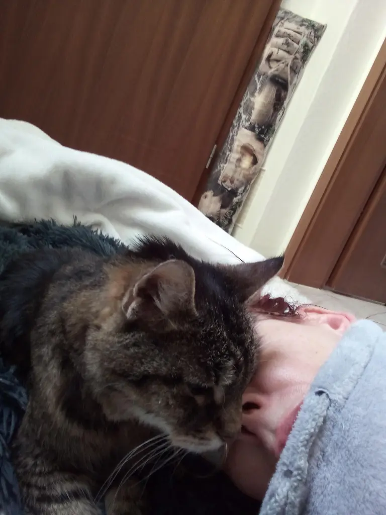 Andachtsbild von Für meine geliebte kleine Puppi ❤️