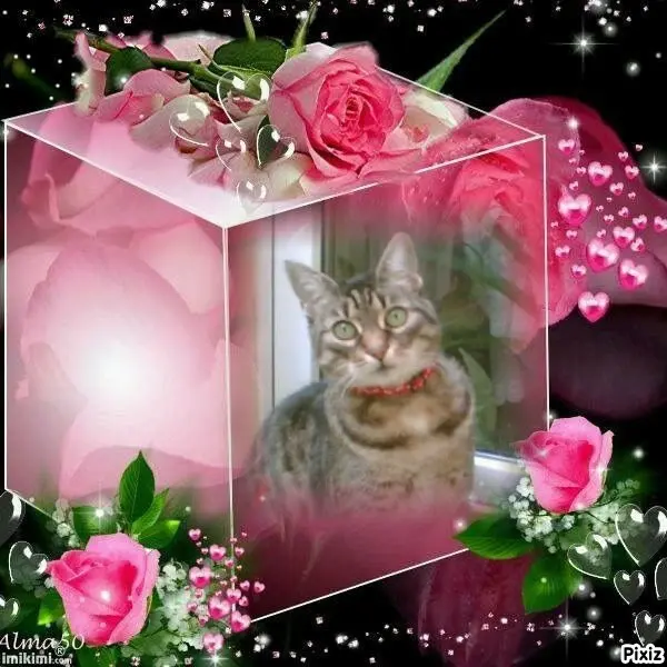 Andachtsbild von Tanja mit Timmy im Herzen 