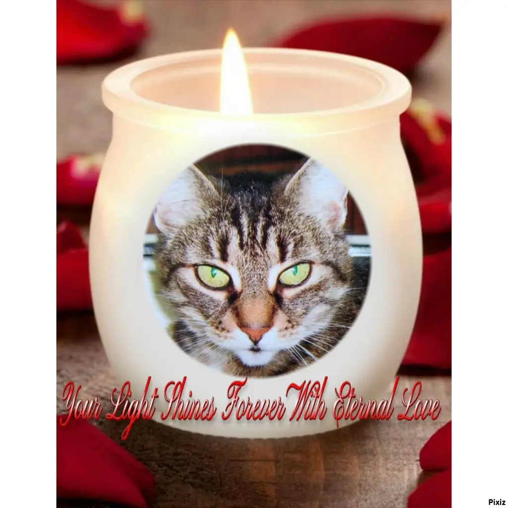 Andachtsbild von Für meinen allerliebsten kleinen Schatz ♥️