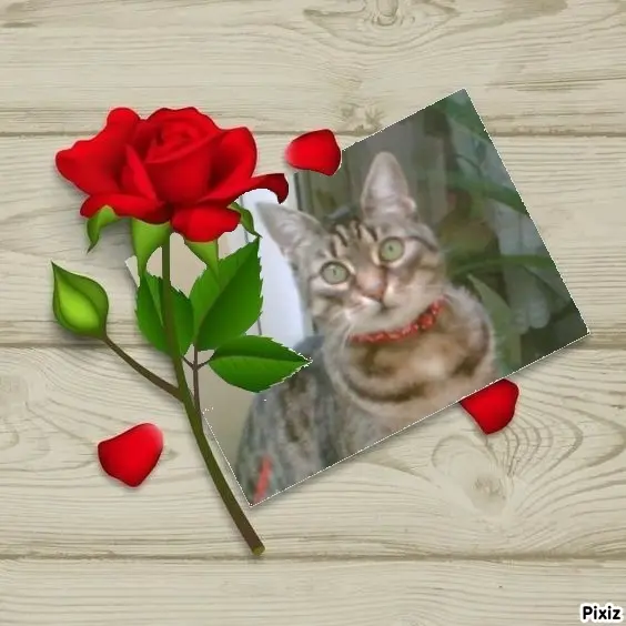 Andachtsbild von Tanja mit Timmy im Herzen 