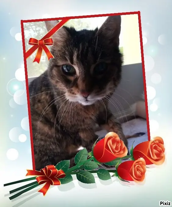 Andachtsbild von Unbekannt