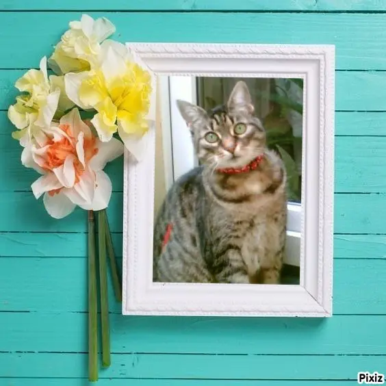 Andachtsbild von Tanja mit Timmy im Herzen 