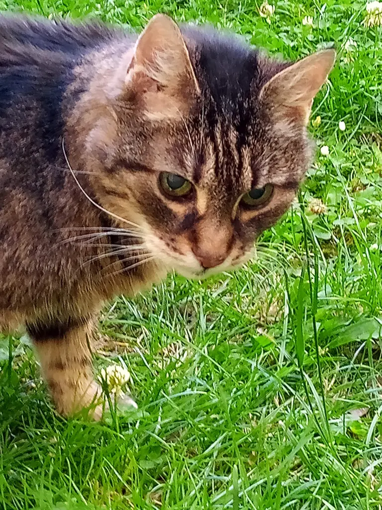 Andachtsbild von Für dich mein Liebling ❤️