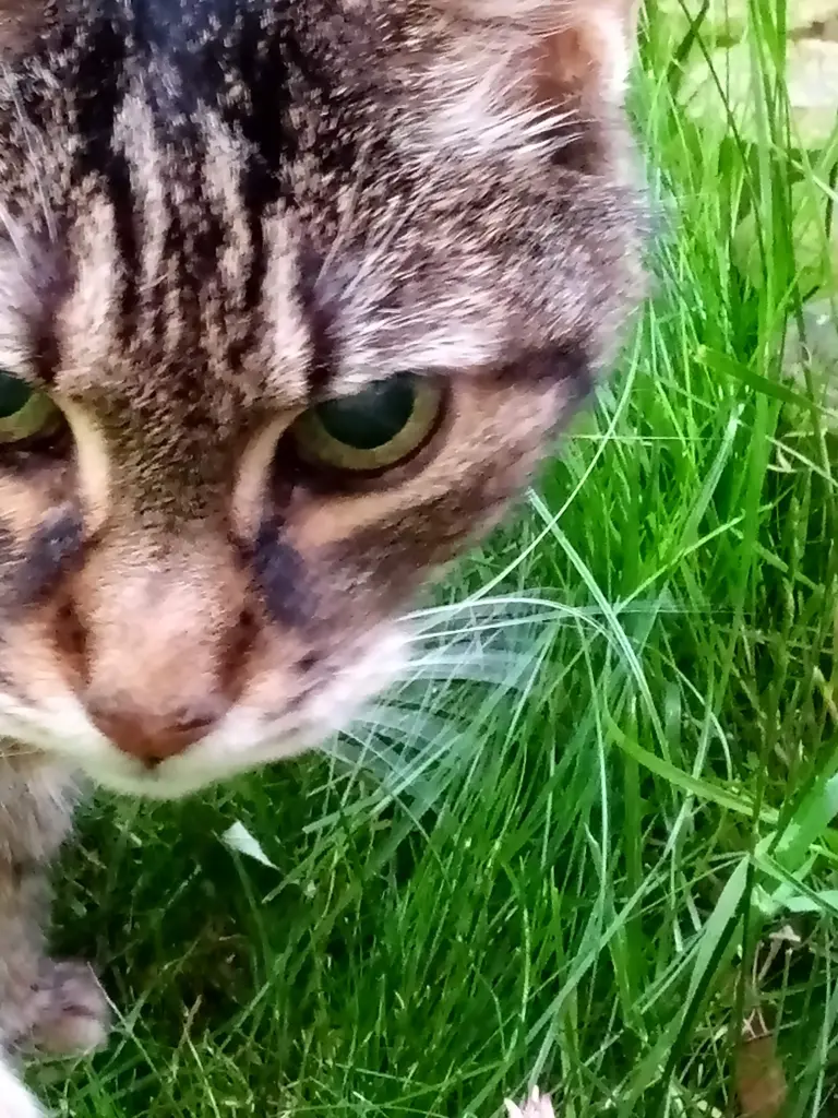 Andachtsbild von Für meinen kleinen Engel ♥️