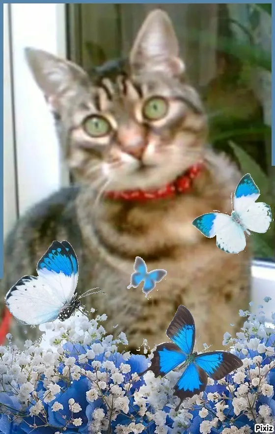 Andachtsbild von Tanja mit Timmy im Herzen 