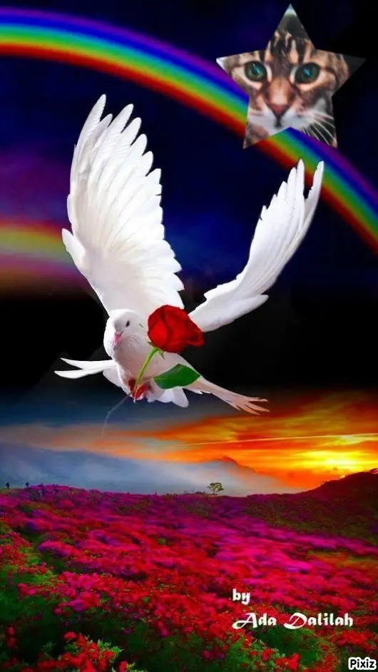 Andachtsbild von Für meine kleine Puppi ❤️