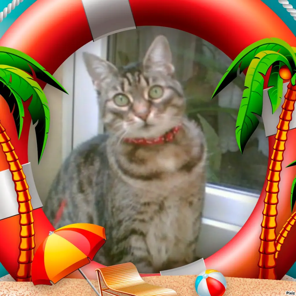 Andachtsbild von Tanja mit Timmy im Herzen 