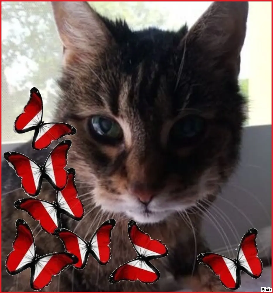 Andachtsbild von Sternchenpost ⭐