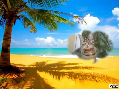 Andachtsbild von Tanja mit Timmy im Herzen 