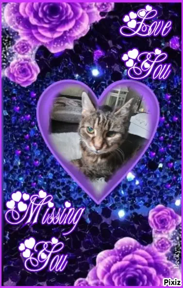 Andachtsbild von Für Dich mein liebstes Sonnele ❤️