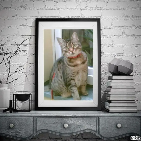 Andachtsbild von Tanja mit Timmy im Herzen 