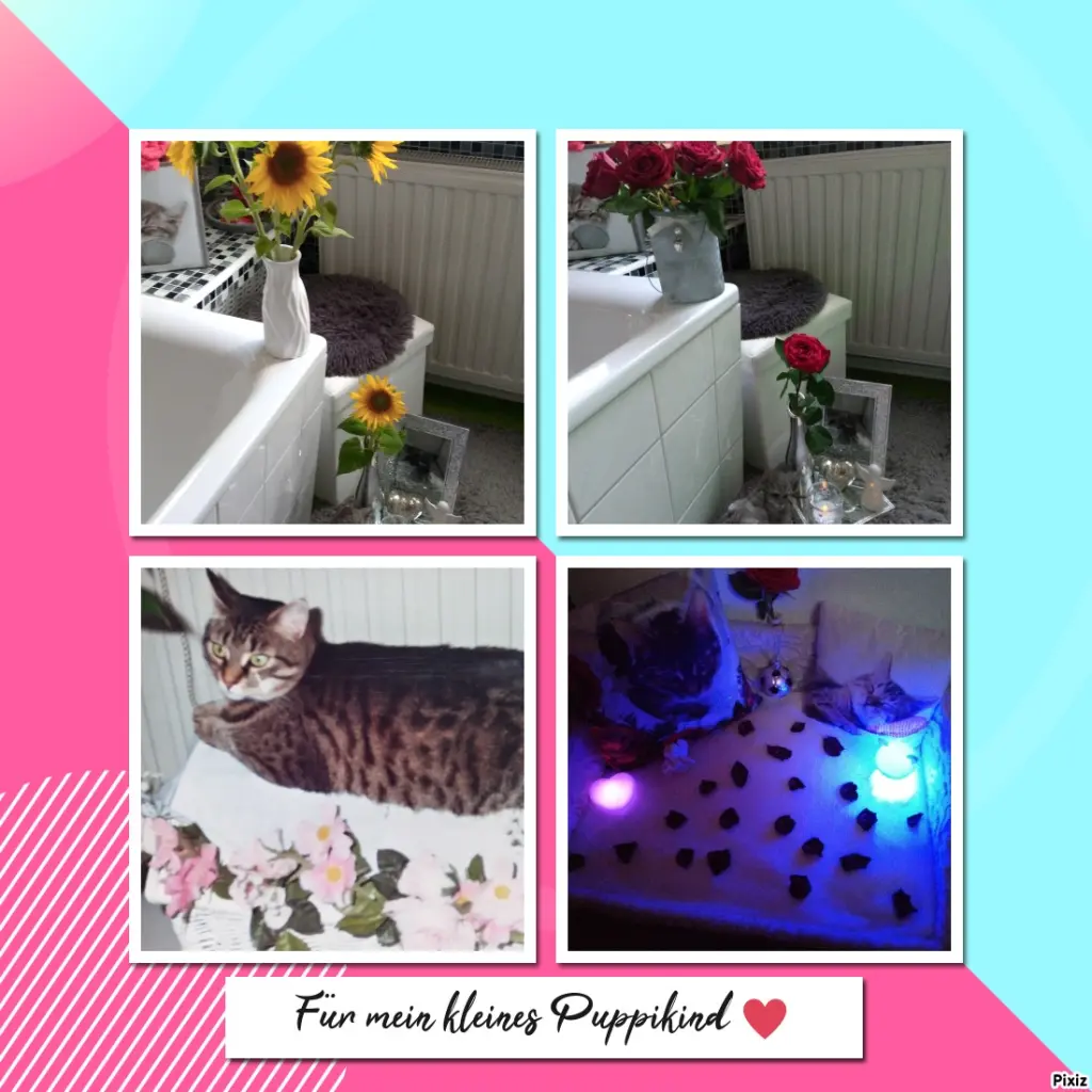 Andachtsbild von Für dich mein Liebling ❤️