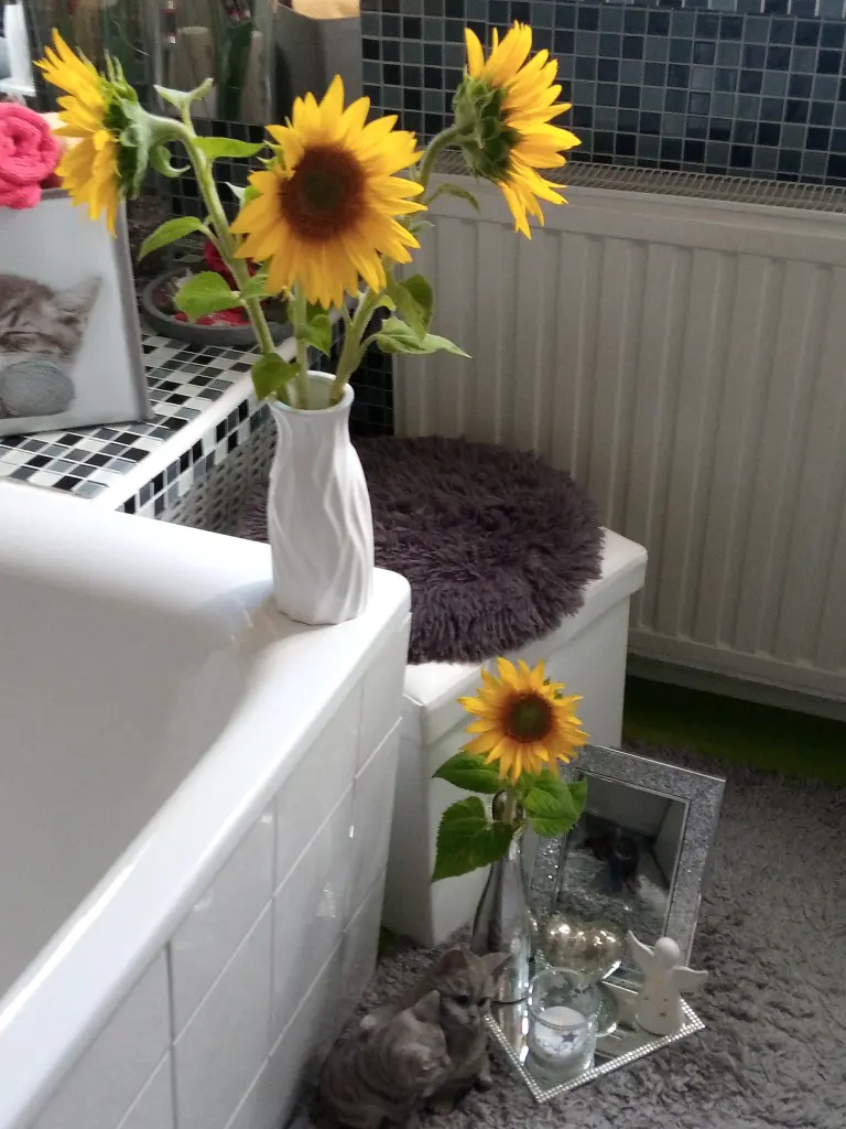 Andachtsbild von Für Dich mein kleines Sonnele ❤️