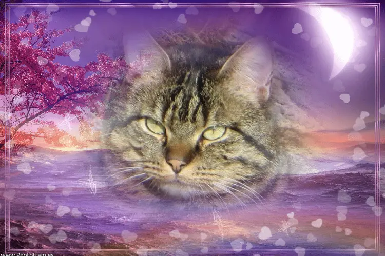 Andachtsbild von Ravi & Zausel 