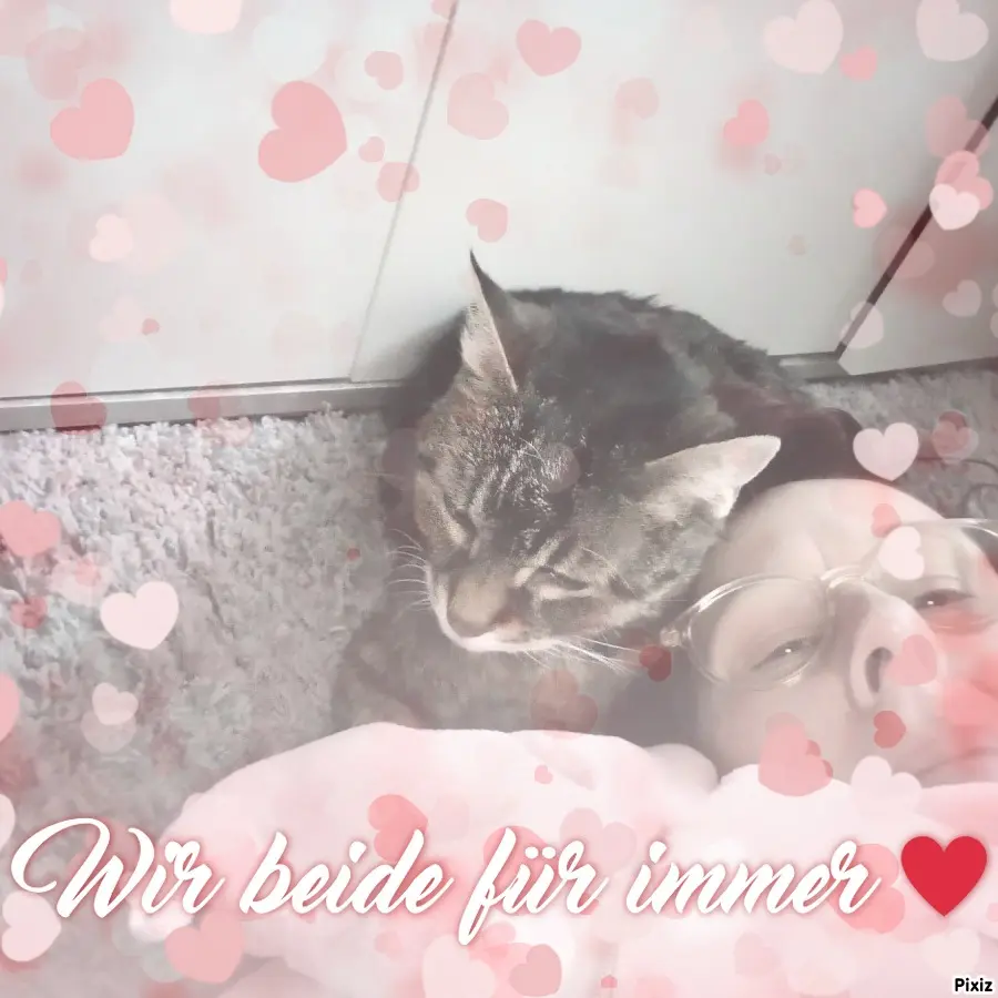 Andachtsbild von Für Dich mein kleines Sonnele ❤️