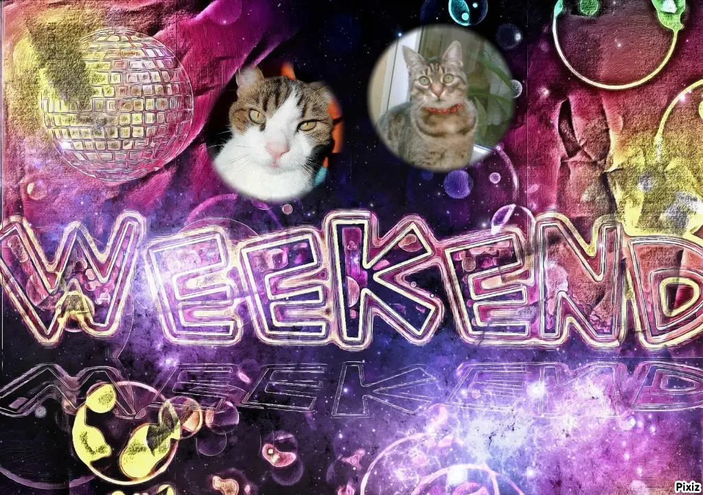 Andachtsbild von Tanja mit Timmy im Herzen 