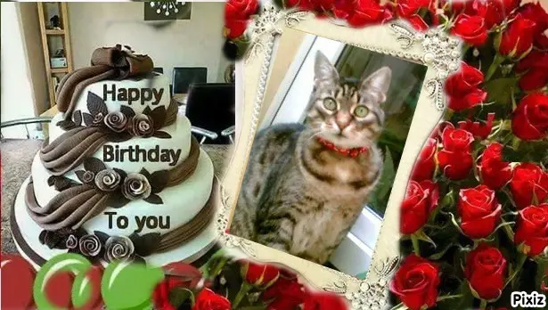 Andachtsbild von Tanja mit Timmy im Herzen 