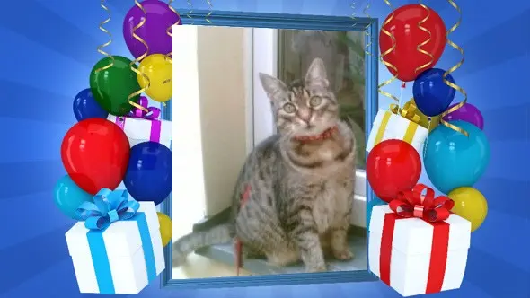 Andachtsbild von Andrea mit Minki im ♥️