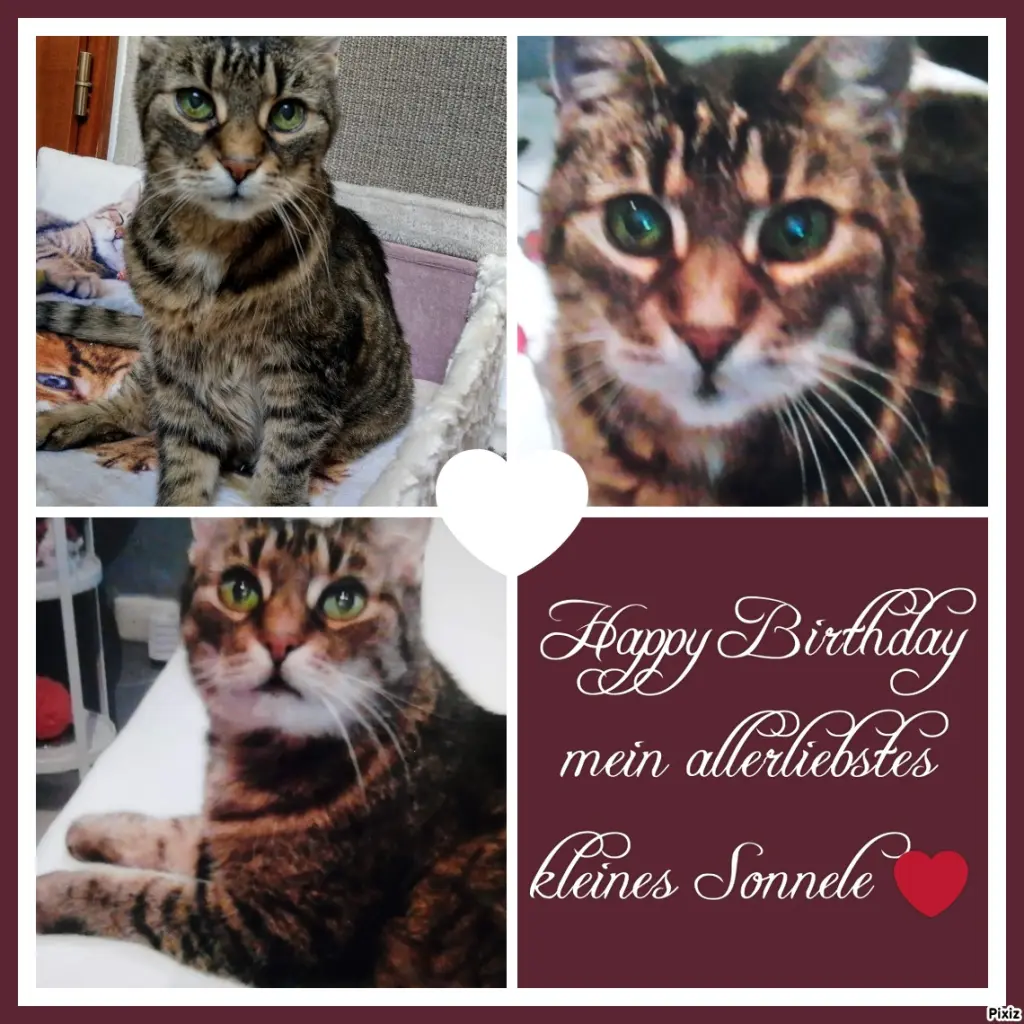 Andachtsbild von Für mein geliebtes kleines Geburtstagskindchen Sisile ♥️