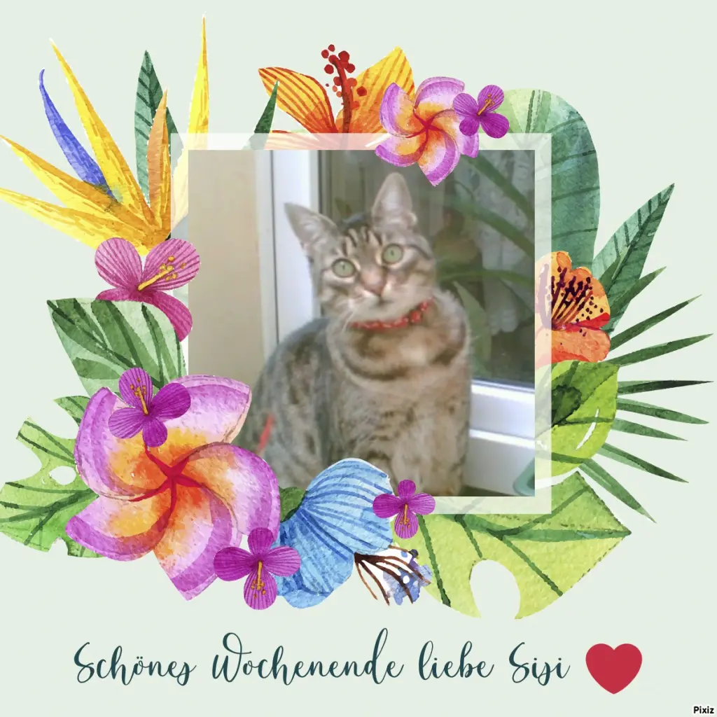 Andachtsbild von Tanja mit Timmy im Herzen 