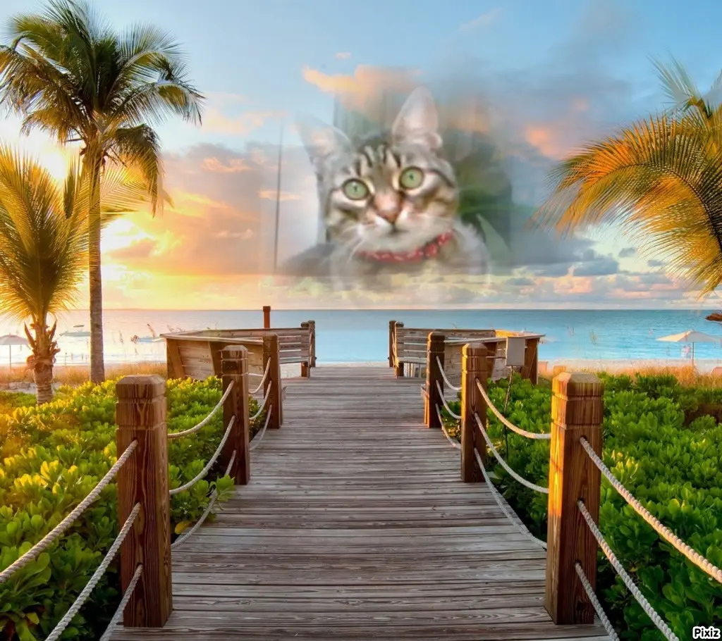 Andachtsbild von Tanja mit Timmy im Herzen 