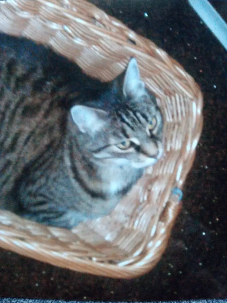 Andachtsbild von Für meinen kleinen Schatz Puppi ❤️