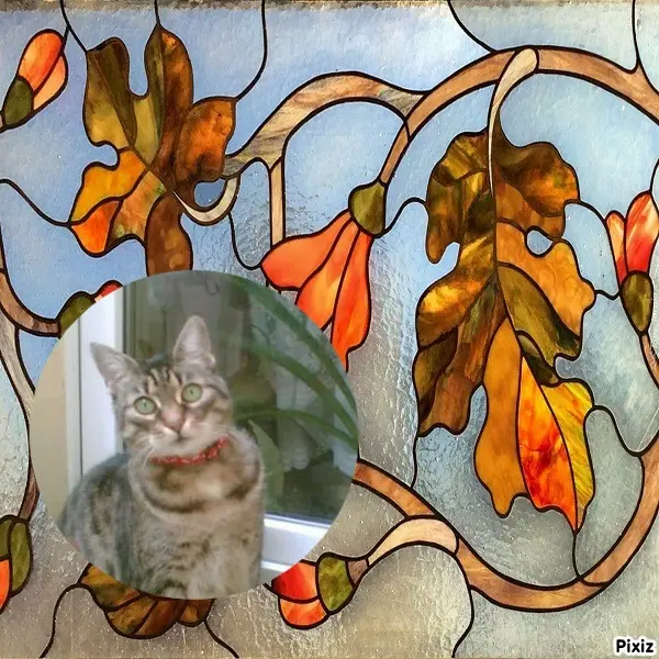 Andachtsbild von Tanja mit Timmy im Herzen