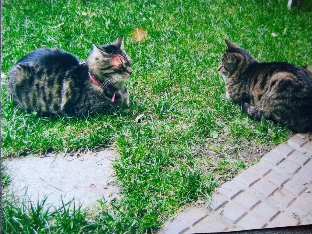 Andachtsbild von Für meine kleine Prinzessin - in Liebe ♥️