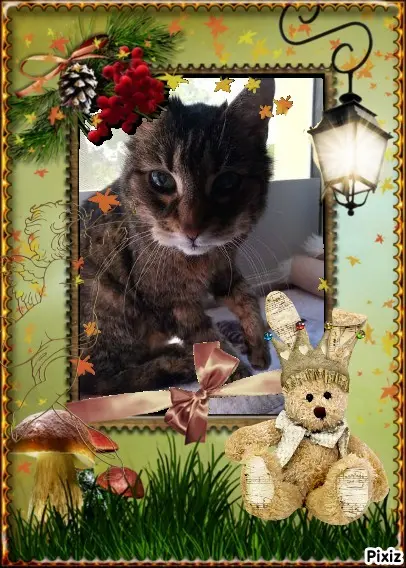 Andachtsbild von Sternchenpost ⭐