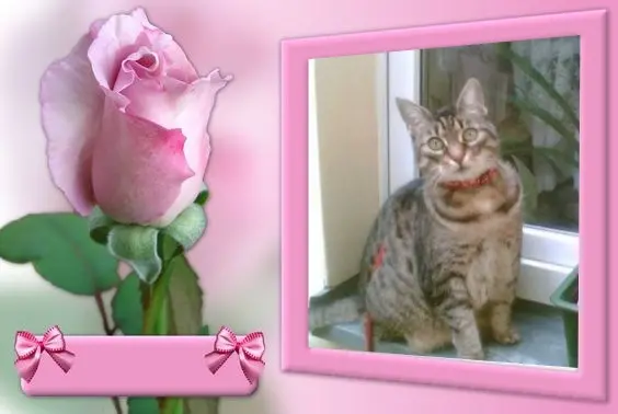 Andachtsbild von Andrea mit Minki im ♥️