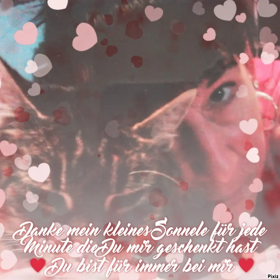 Andachtsbild von Für meine kleine Sisi- Treue bis zum Wiedersehen ♥️